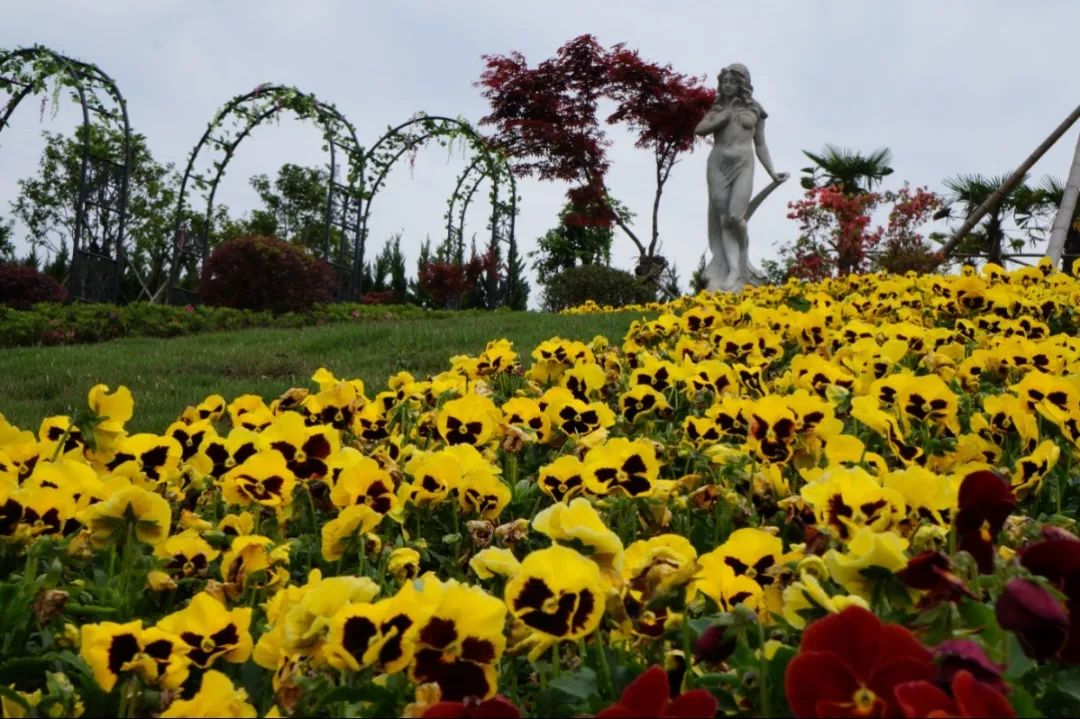 6008集团官方网站(中国)股份有限公司