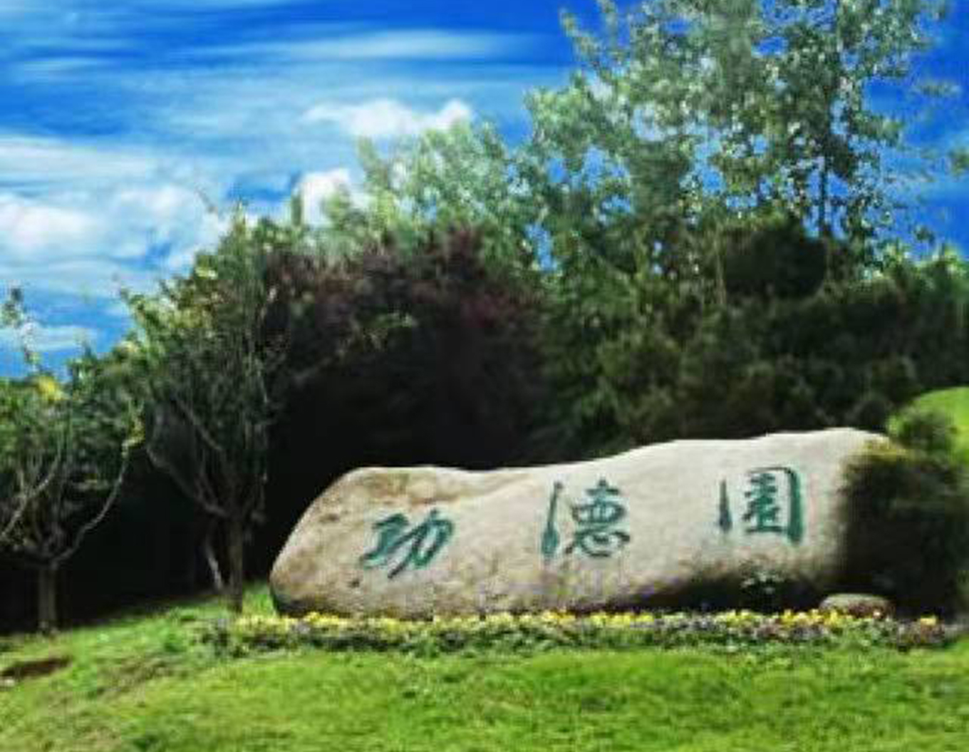 6008集团官方网站(中国)股份有限公司