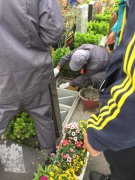 【6008集团官方网站人别样清明】2018年清明落葬事情圆满完成