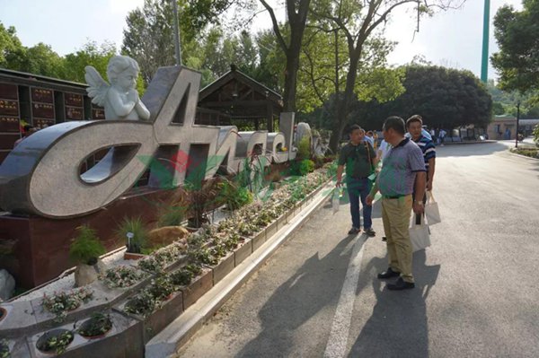 6008集团官方网站(中国)股份有限公司