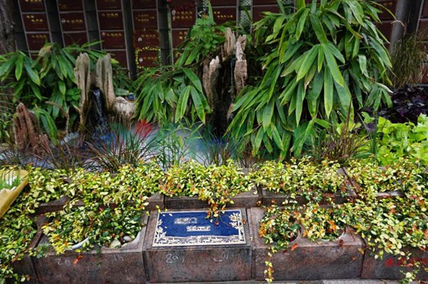 6008集团官方网站(中国)股份有限公司