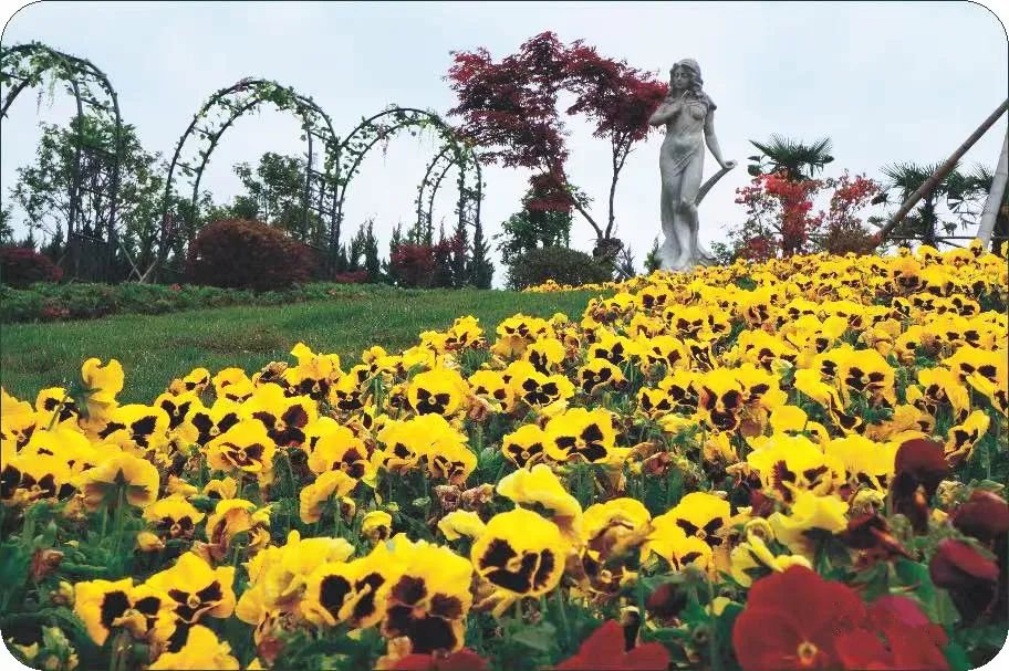 6008集团官方网站(中国)股份有限公司