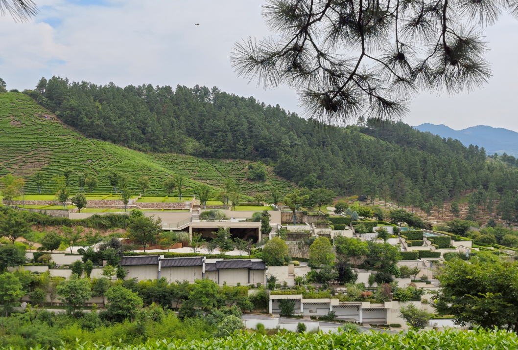 6008集团官方网站(中国)股份有限公司