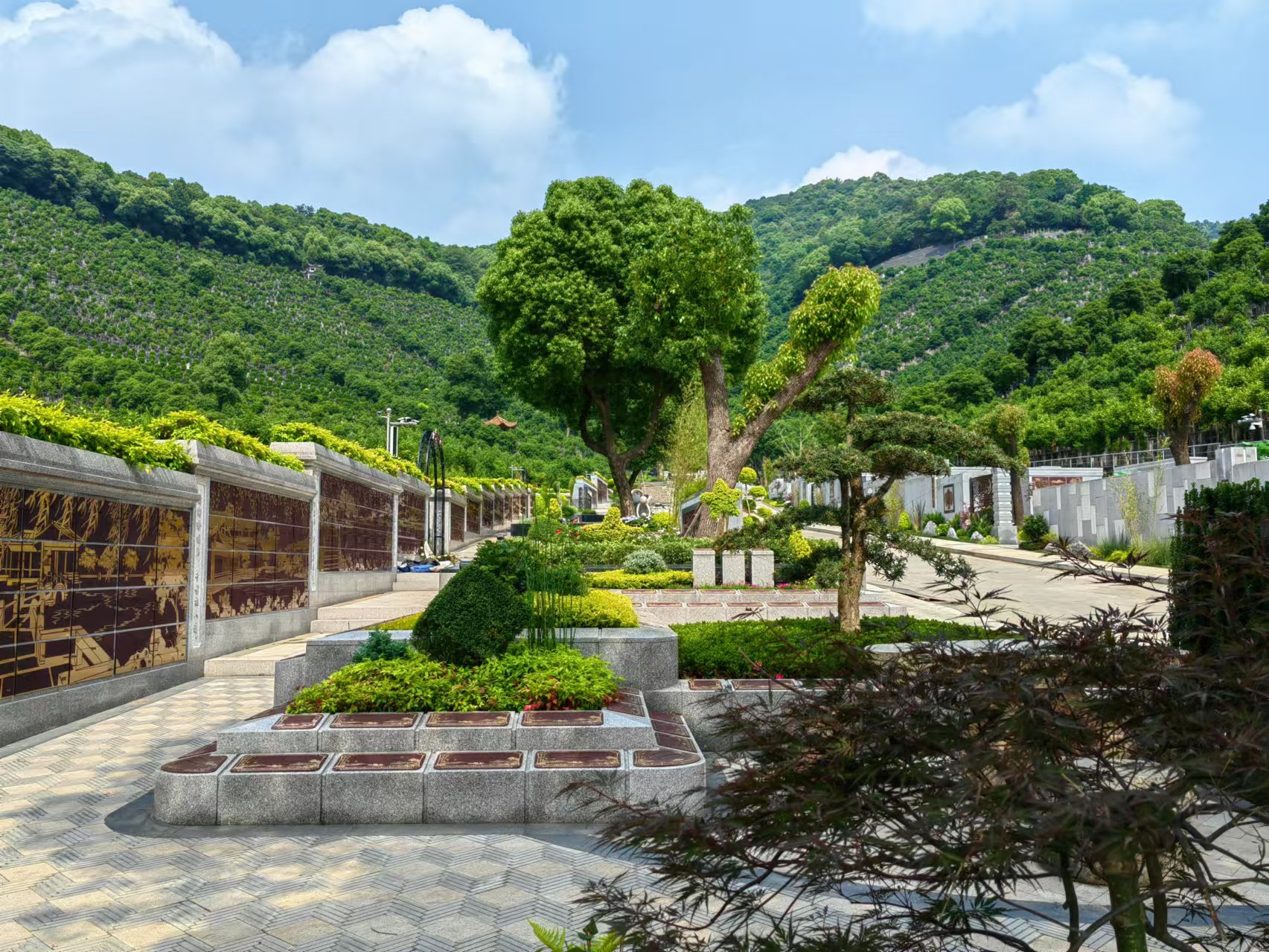 引领绿色生态新民俗，共筑生命协调家园