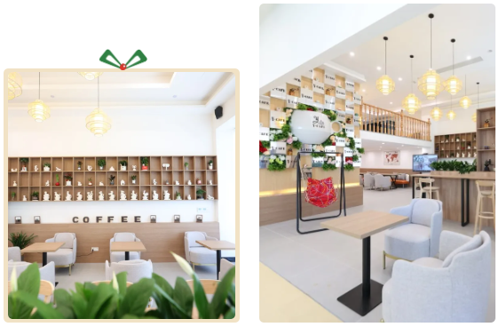 6008集团官方网站(中国)股份有限公司