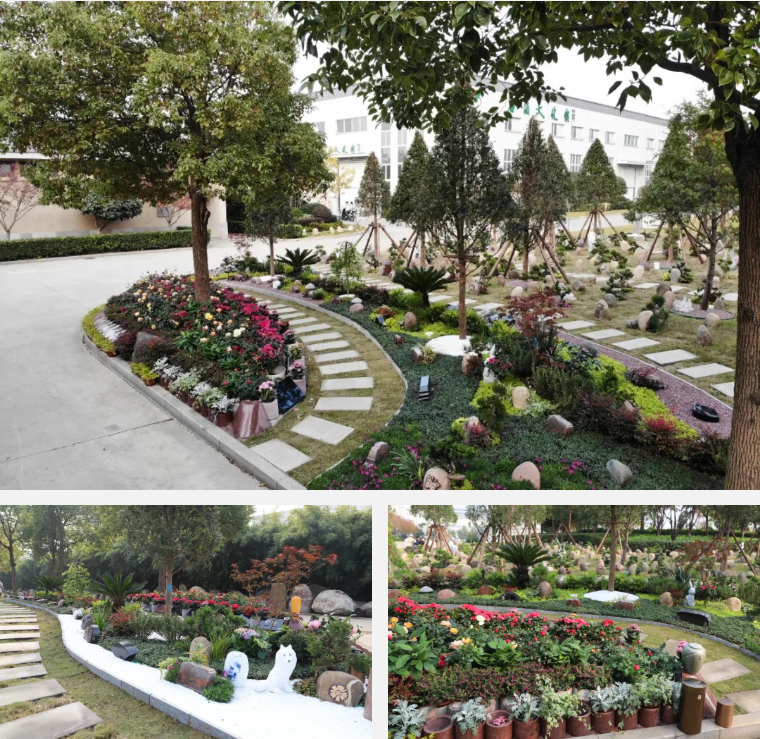 6008集团官方网站(中国)股份有限公司