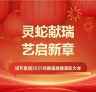 灵蛇献瑞 艺启新章 | 6008集团官方网站集团2025年度盛典暨表扬大会