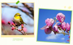 春启6008集团官方网站