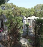 绿色生态葬：：文明赓续的绿色选择