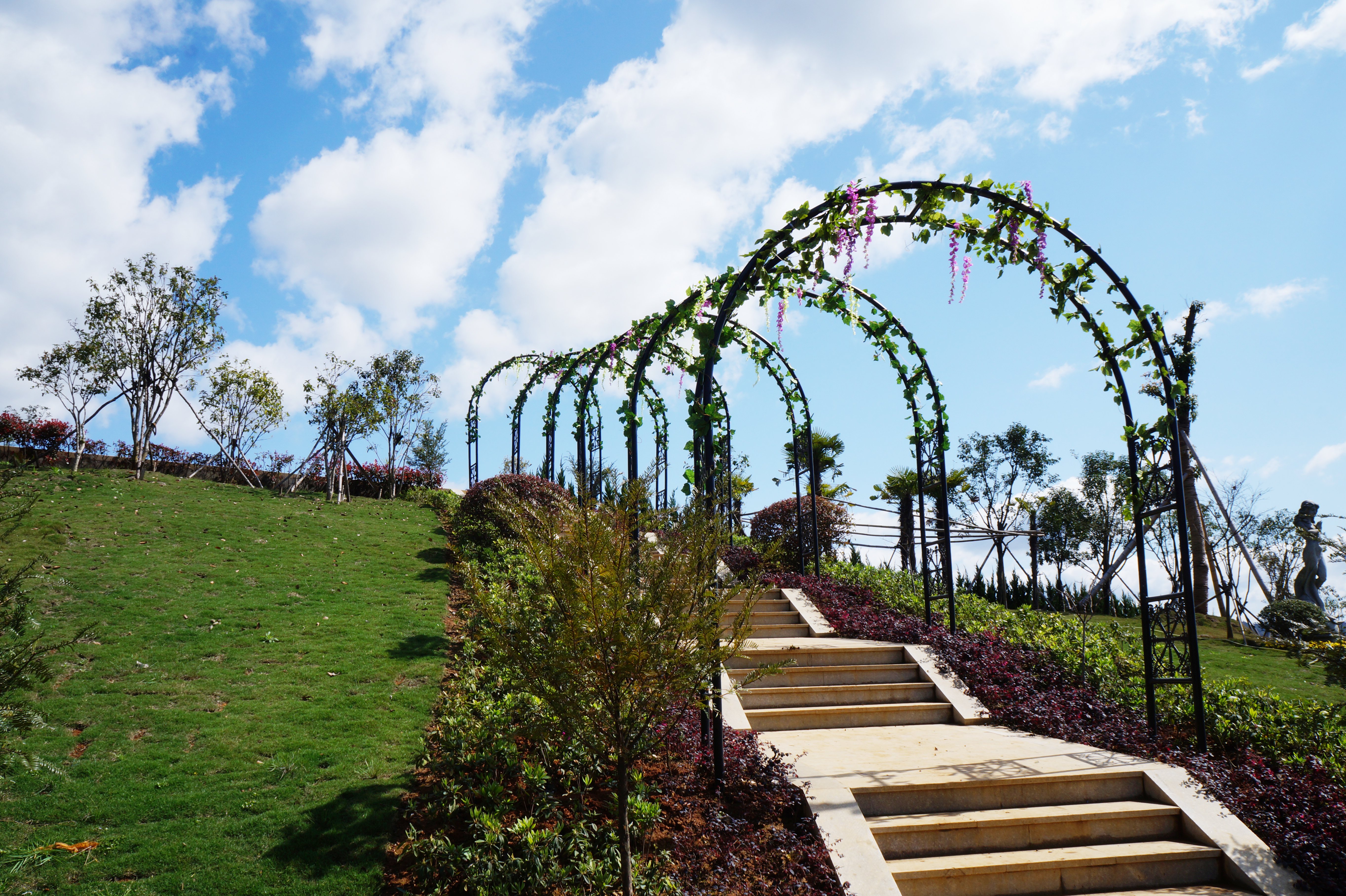 6008集团官方网站(中国)股份有限公司