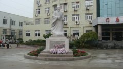 石雕匠心，镌刻医者风华