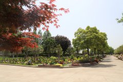 归于林下：：：一场与自然的温柔重逢