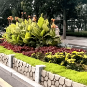 无机仿真石花箱：：：以永恒之名，，，塑未来之境