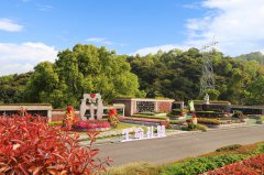 城市角落的星河：：当墓园成为生命的另一种花园