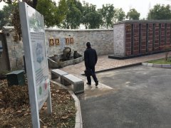 以心为笔，绘就可落地的生命花园